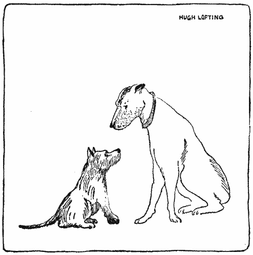 "Mudge shook his head"