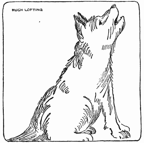 "I joined in the chorus"