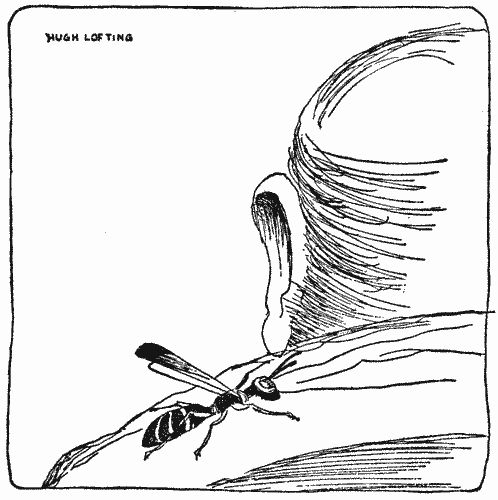 "He seemed happiest when allowed to sit on the Doctor's collar"