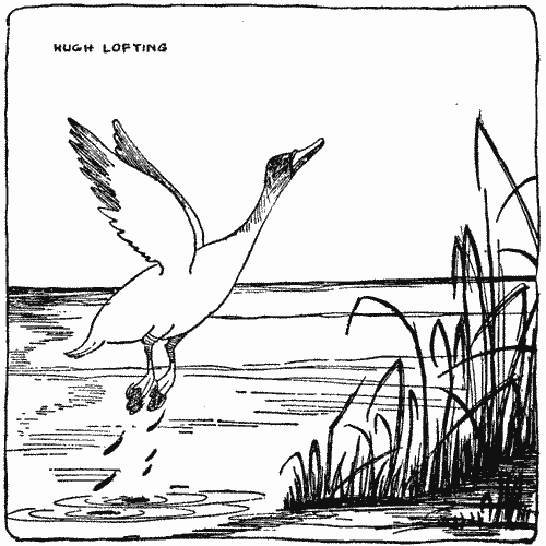 "He took to the air with a cake of mud on each foot"