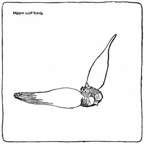 "For hours and hours the great creature turned over and over, apparently helpless"