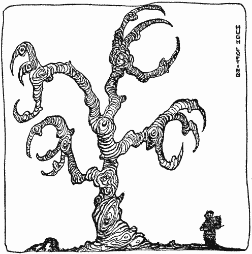 "It was different from any tree I have ever seen"