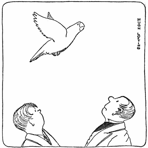 "Polynesia soared into the air"