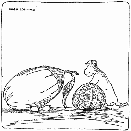 "Some of the fruits were as big as a trunk"