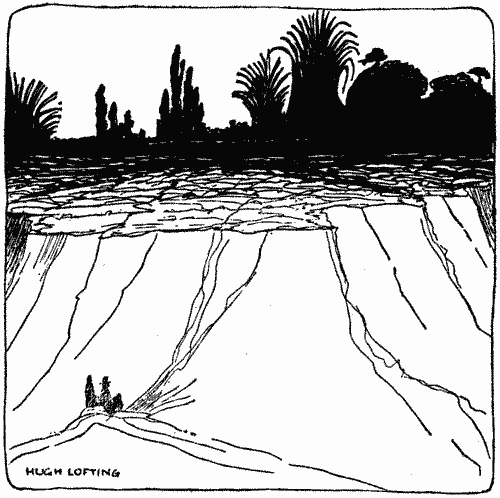 "We approached the bluff on whose brow the vegetation flourished"