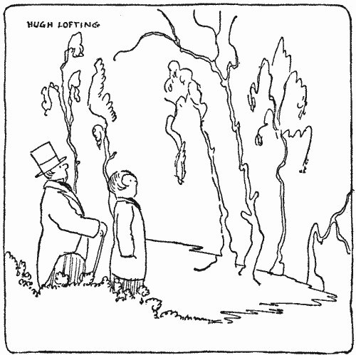 "Spellbound, we gazed up at them"