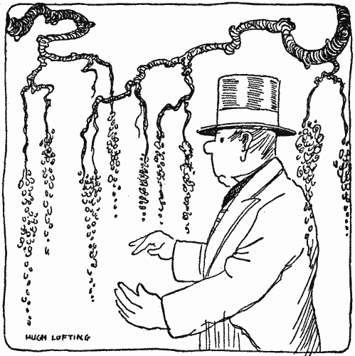 "Proceeded with his conversation with the vines"