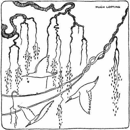 "Still more birds left the concealment of the creepers"