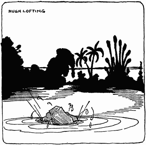 "The piece fell into one of our lakes"