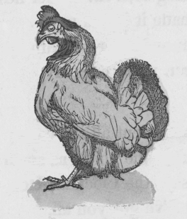 hen