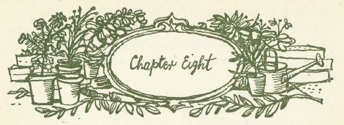 Chapter Eight