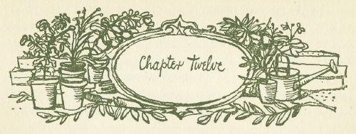 Chapter Twelve