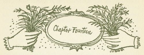 Chapter Fourteen