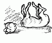 lopped behind the ears