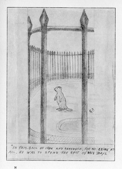 In this gaol of iron and concrete, for no crime at all, he was to spend the rest of his days