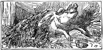 Pig in a pile of hay.