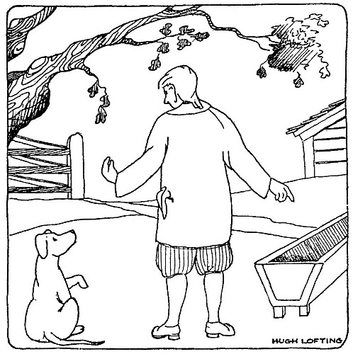 &lsquo;Come over here by the trough&rsquo;