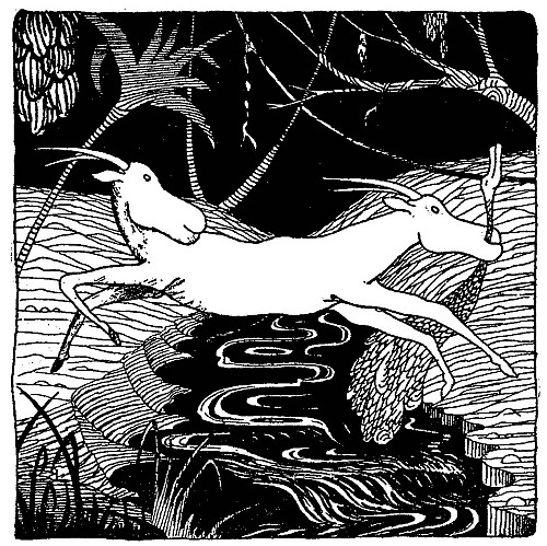 I leapt as I have never leapt before