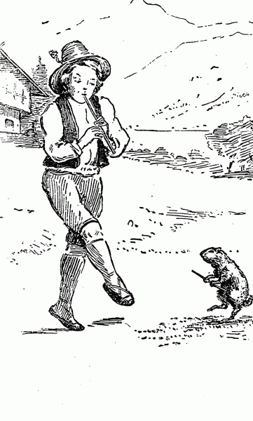 Herman and his marmot