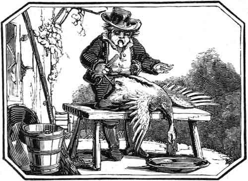 THE
    COVETOUS BOY AND THE GOOSE.