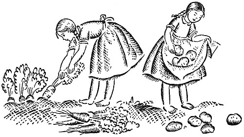 EVERYONE WAS BUSY NOW